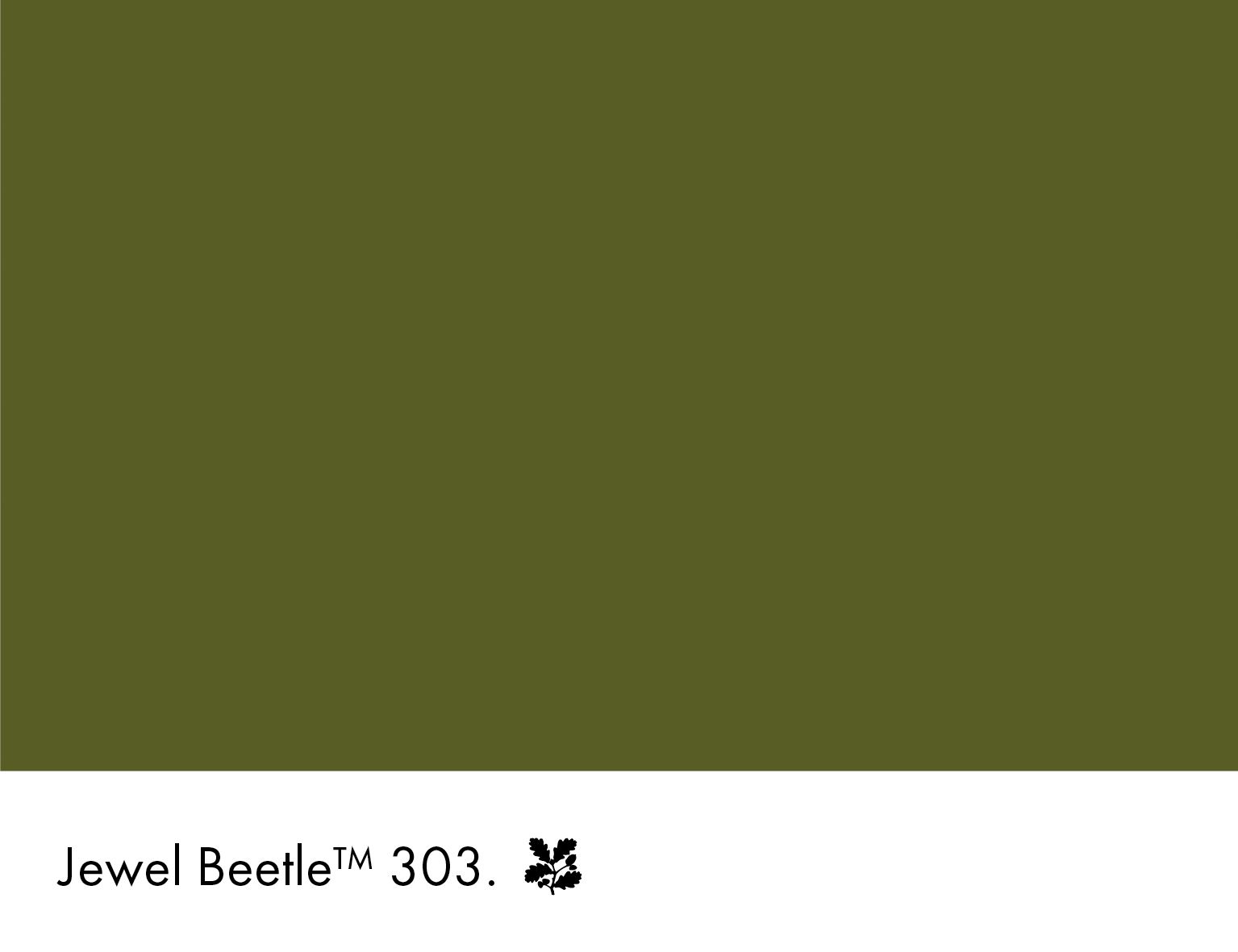 Jewel Beetle
